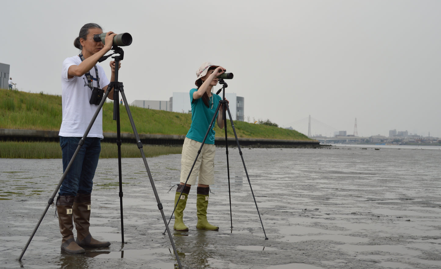 An unusual migration: The Wild Bird Society of Japan now at wagumi
