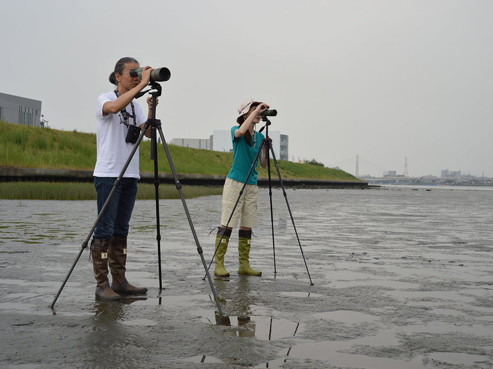 
                  
                    Bird watchers (Brown and Mejiro Lime)
                  
                