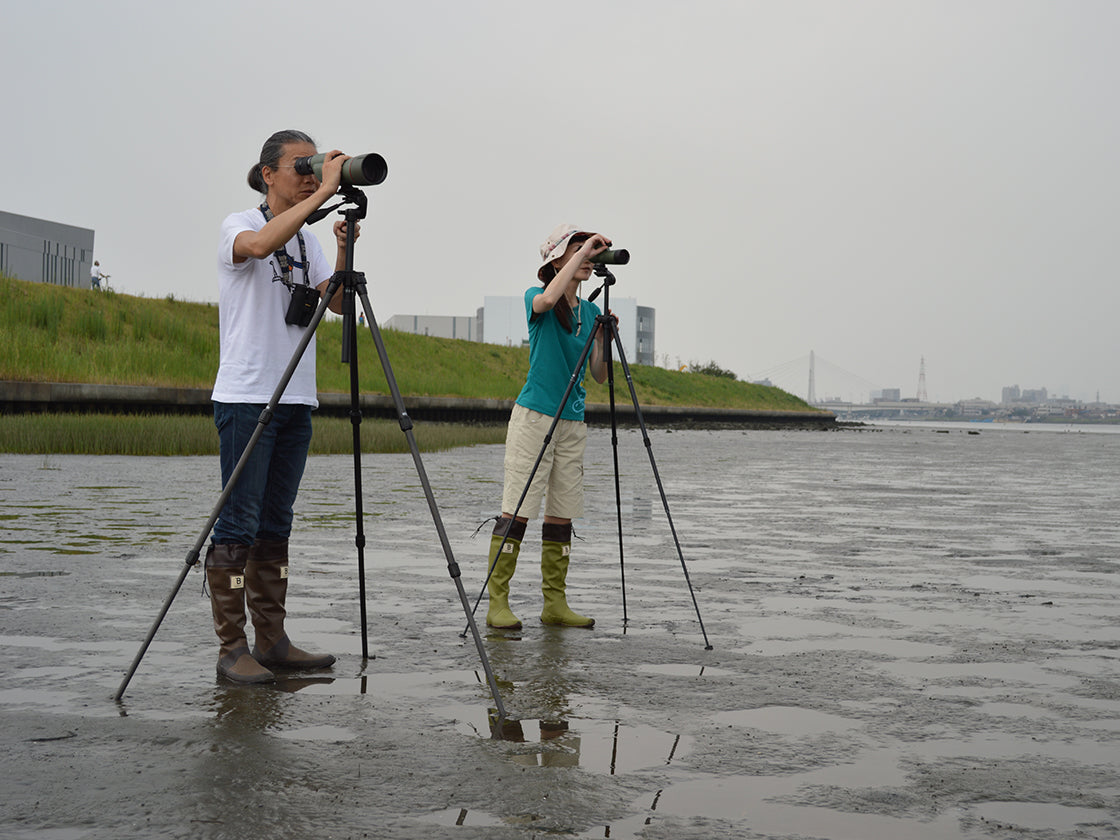 
                  
                    Bird watchers (Brown and Mejiro Lime)
                  
                