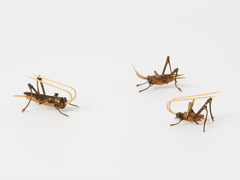 
                  
                    Handmade Insec Ornament, Bell Cricket, Male By Masayoshi Kubota 73
                  
                