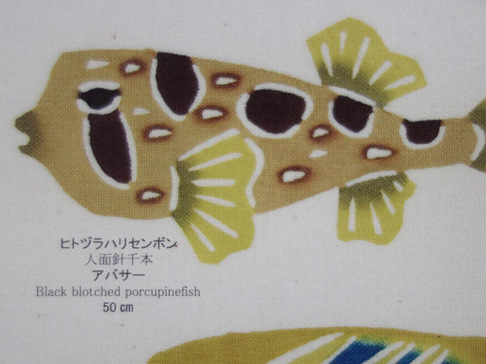 
                  
                    Poster: "Fish of the Ryukyus" by Benikichi Bingata
                  
                