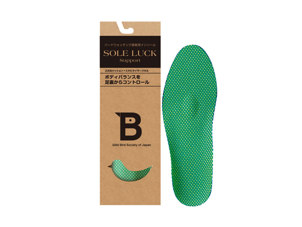 WBSJ Insoles for Wellington Boots