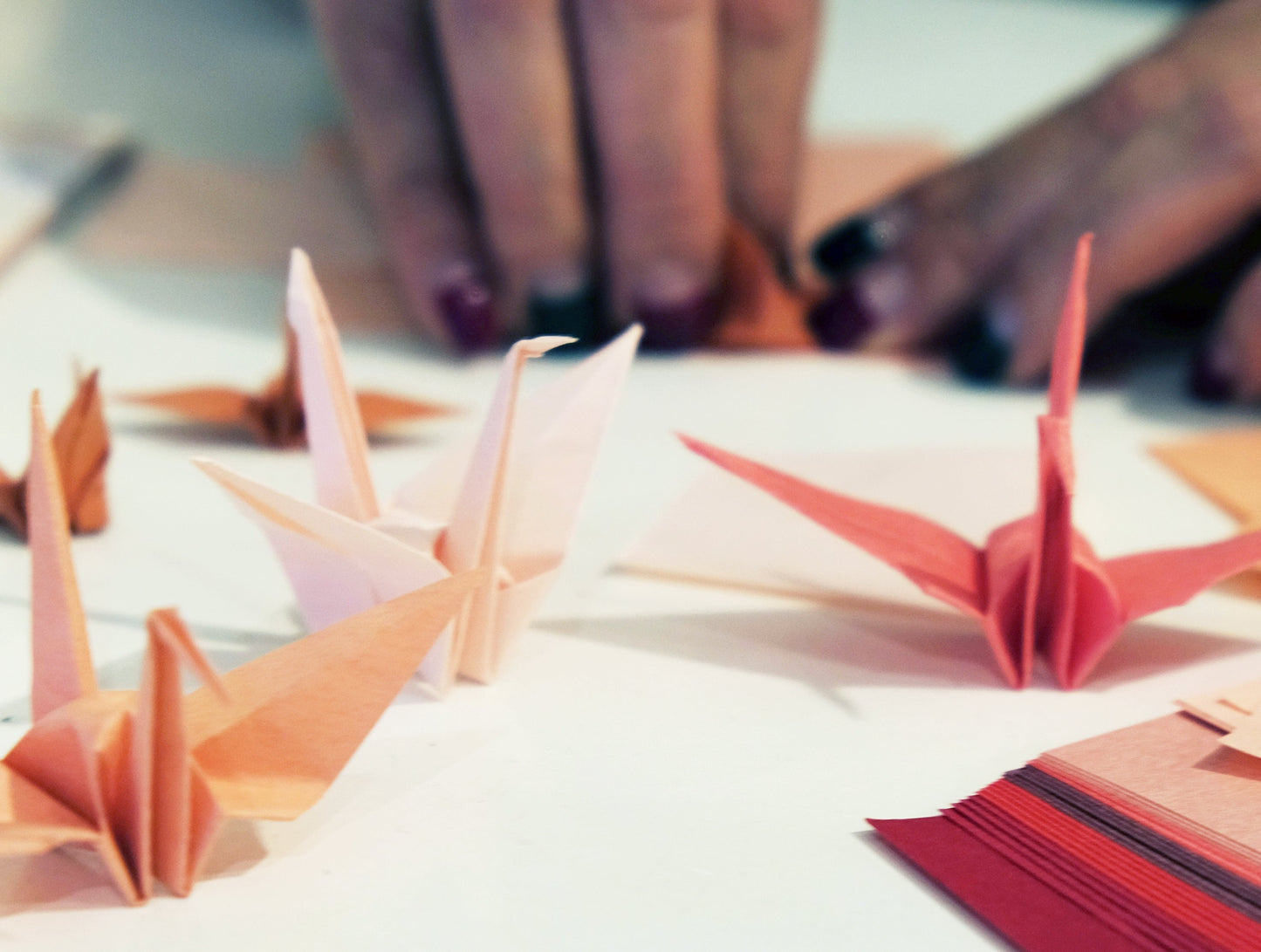 
                  
                    Making crane with Japan Red Origami set
                  
                