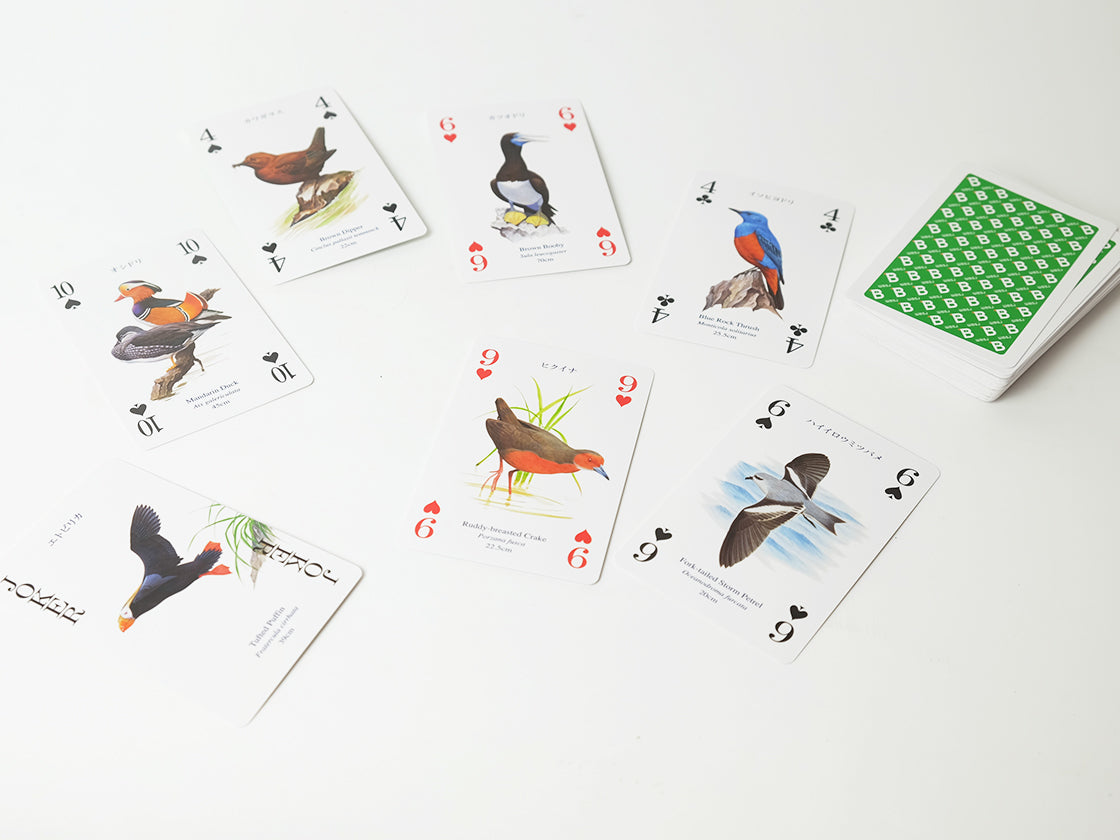 
                  
                    WBSJ Bird Playing Cards (Waterbirds)
                  
                